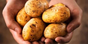 Resistenter Stärke: Was du wissen solltest