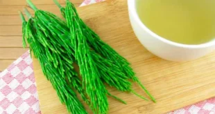 Cola de Caballo, ein natürliches Diuretikum