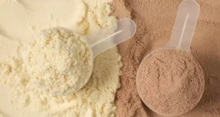 Unterschiede zwischen isoliertem und konzentriertem Molkenprotein