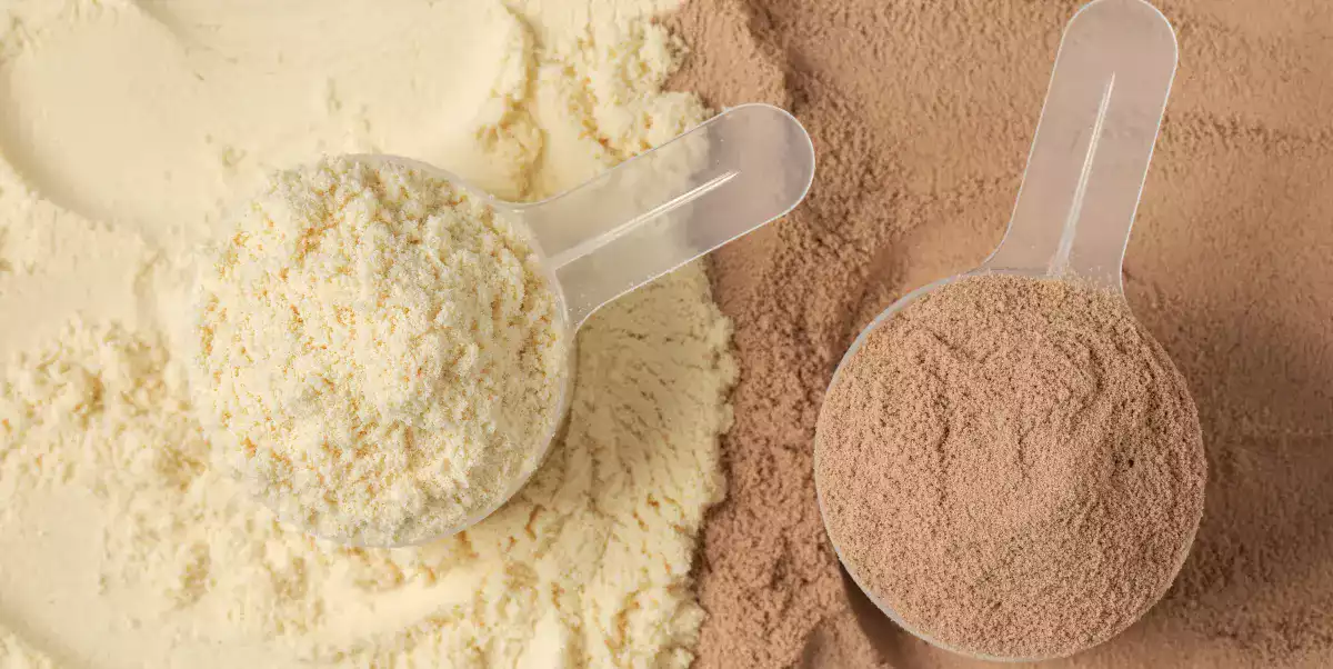 Unterschiede zwischen isoliertem und konzentriertem Molkenprotein