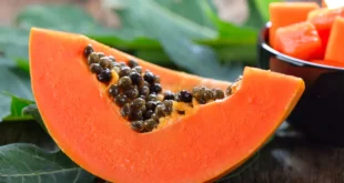 Eigenschaften der Papaya und die Vorteile, sie in deine Ernährung einzubauen