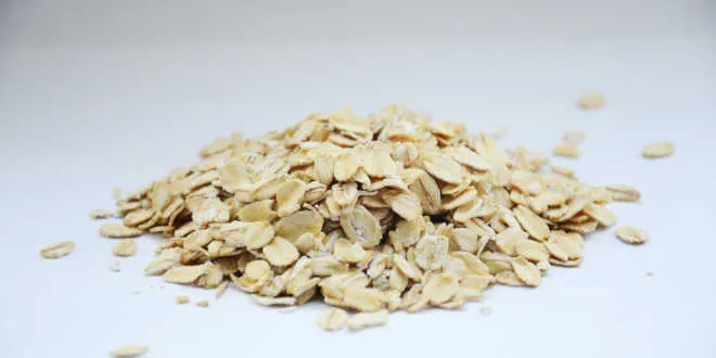 Hafer – Eigenschaften, Vorteile und Arten kennenlernen