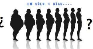 2 kg in 4 Tagen abnehmen ist möglich (weitere Überlegungen)