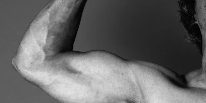 Die besten Sprüche von Arnold Schwarzenegger