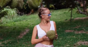 Graviola: Der tropische Schatz für dein Wohlbefinden