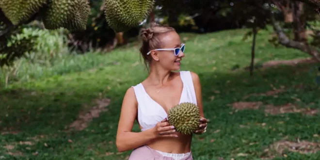 Graviola: Der tropische Schatz für dein Wohlbefinden Graviola: Der tropische Schatz für dein Wohlbefinden