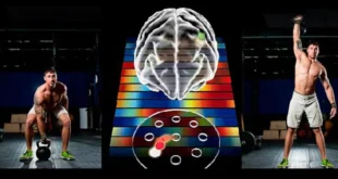 Wie wird eine Bewegung in unserem Gedächtnis gespeichert?