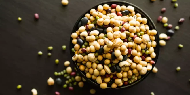 Die 15 Lebensmittel mit dem höchsten Gehalt an Folsäure oder Vitamin B9