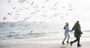 Was weißt du über die 9 erstaunlichen Vorteile von Krillöl?