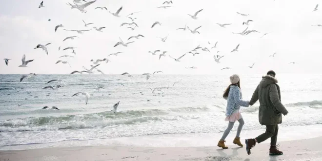 Was weißt du über die 9 erstaunlichen Vorteile von Krillöl?