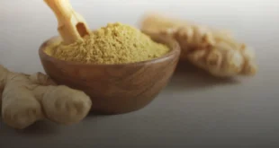 Ingwer, Eigenschaften und Vorteile für deine Gesundheit