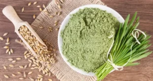 Gerstengras: Vorteile und Eigenschaften dieses Superfoods