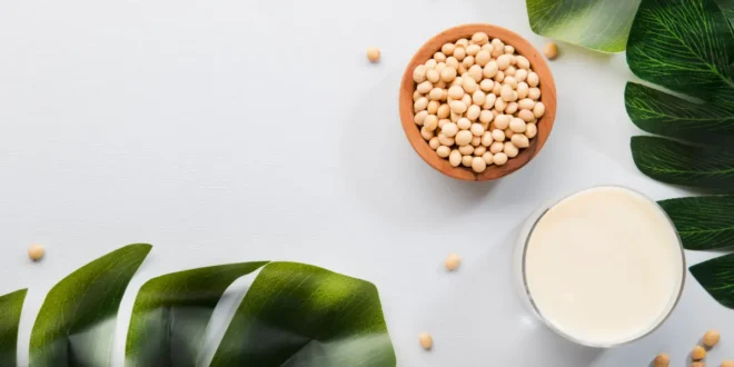 Die besten Lebensmittel, um die Elektrolyte im Körper wieder aufzufüllen