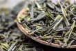 Grüner Tee: Alles, was du über dieses Antioxidans wissen solltest