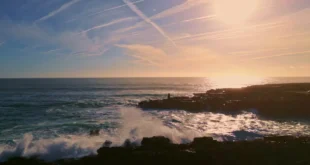 Krillöl: Viel mehr als nur ein Trendlebensmittel