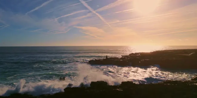 Krillöl: Viel mehr als nur ein Trendlebensmittel