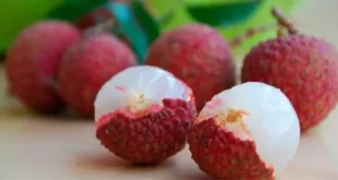 Was ist Lychee und welche Vorteile hat es?