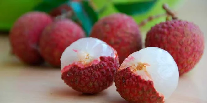 Was ist Lychee und welche Vorteile hat es? Was ist Lychee und welche Vorteile hat es?