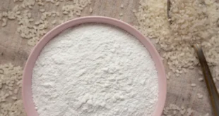 Eigenschaften und Verwendung der Reisprotein