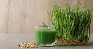 Was sind die gesundheitlichen Vorteile von Weizengras?