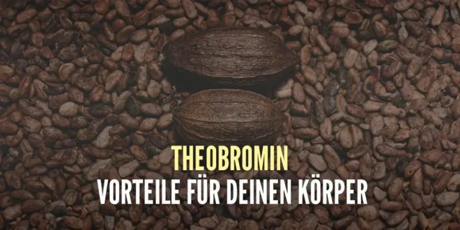 Wofür ist Theobromin gut und welche Vorteile hat es für den Körper