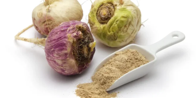 Was ist Maca Andina und welche Vorteile hat sie? Was ist Maca Andina und welche Vorteile hat sie?