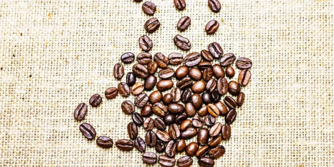 Empfohlene tägliche Koffeindosis für deine sportliche Leistung Empfohlene tägliche Koffeindosis für deine sportliche Leistung