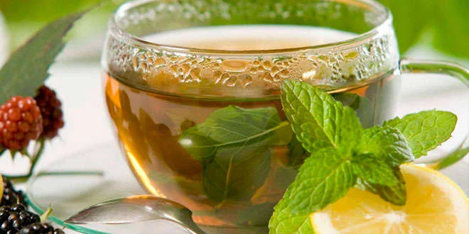 Warum ist es vorteilhaft, nach dem Essen einen Aufguss zu trinken? Warum ist es vorteilhaft, nach dem Essen einen Aufguss zu trinken?