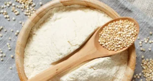 Top 8 Rezepte mit HSN Vollkorn-Quinoamehl