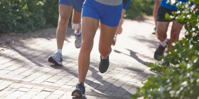 Tiroides: wie du die Hormone durch Sport regulierst Tiroides: wie du die Hormone durch Sport regulierst
