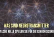 Neurotransmitter, was sie sind, arten und wirkungen im körper
