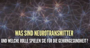 Neurotransmitter, was sie sind, arten und wirkungen im körper