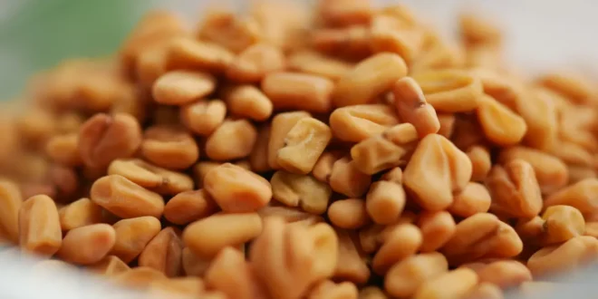 Fenugreek: Eigenschaften, Vorteile und Gegenanzeigen für die Gesundheit Fenugreek: Eigenschaften, Vorteile und Gegenanzeigen für die Gesundheit