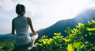 8 unglaubliche Vorteile von Ginkgo Biloba für die Gesundheit