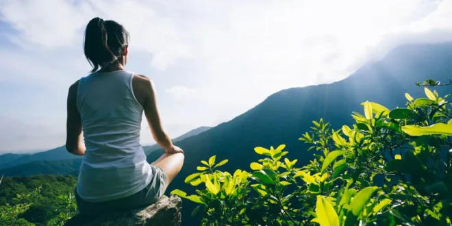 8 unglaubliche Vorteile von Ginkgo Biloba für die Gesundheit 8 unglaubliche Vorteile von Ginkgo Biloba für die Gesundheit