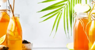 Kombucha-Tee: Ein außergewöhnliches Probiotikum