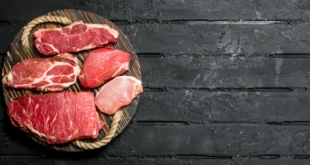 Carnivore-Diät