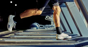 Cardio in der Massephase machen?