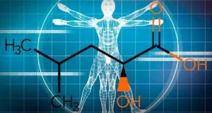 HICA: Leucin-Stoffwechselprodukt für Muskelwachstum