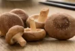 Shiitake-Pilz: Eigenschaften, Vorteile und Gegenanzeigen