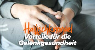 Hai-Knorpel: Eigenschaften und Vorteile für die Gelenkgesundheit