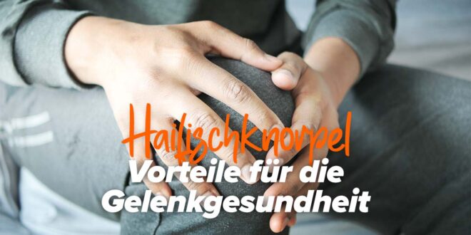 Hai-Knorpel: Eigenschaften und Vorteile für die Gelenkgesundheit Hai-Knorpel: Eigenschaften und Vorteile für die Gelenkgesundheit