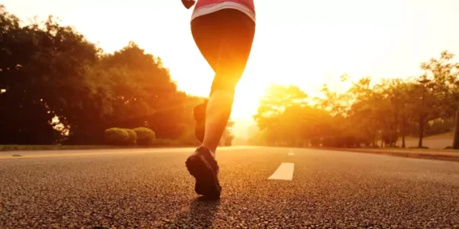 Distanzen und Zeiten beim Laufen: Kompletter Guide von 5K bis Marathon Distanzen und Zeiten beim Laufen: Kompletter Guide von 5K bis Marathon