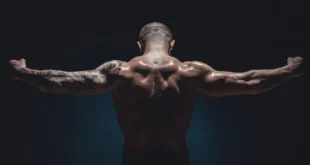 Natürlicher Bodybuilding, Beispiel für eine komplette Saison