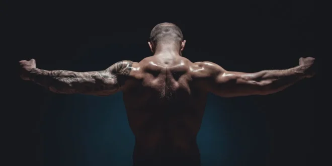 Natürlicher Bodybuilding, Beispiel für eine komplette Saison Natürlicher Bodybuilding, Beispiel für eine komplette Saison