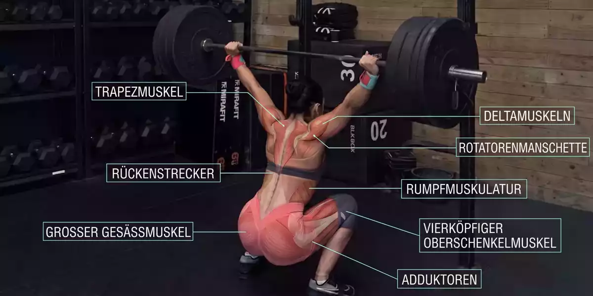Welche Muskeln werden beim Overhead Squat beansprucht?