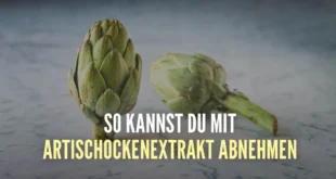 5 einfache Wege, Artischocke zur Unterstützung der Gewichtsabnahme einzunehmen