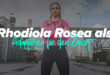 Rhodiola Rosea und ihre Verwendung als sportliches Adaptogen