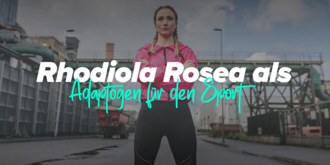 Rhodiola Rosea und ihre Verwendung als sportliches Adaptogen Rhodiola Rosea und ihre Verwendung als sportliches Adaptogen