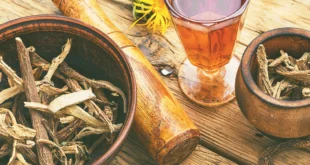 Harpagophytum, ein entzündungshemmender Wirkstoff?